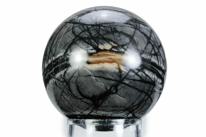 Polished Picasso Marble Sphere - Utah #360344